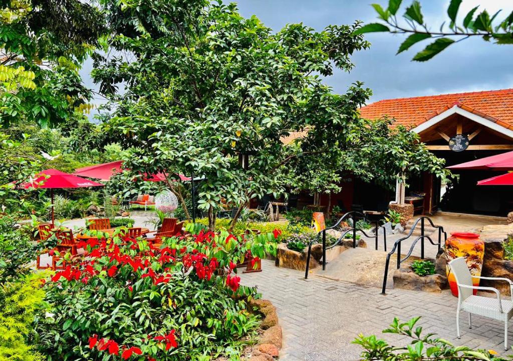 Wedding at Forest Resort